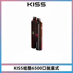 KIS5WAGOO哇酷6500口拋棄式 | 自由混搭雙口味 | 雙芯組合
